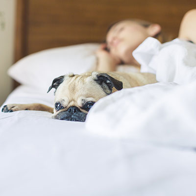 Med hemmaläget kan du öka tryggheten när du är hemma